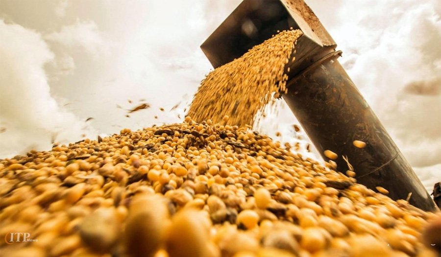  خالی فروشی وزارت نفت و بانک مرکزی/ اثر اختلالات ارزی بیشتر از تحریم‌هاست 